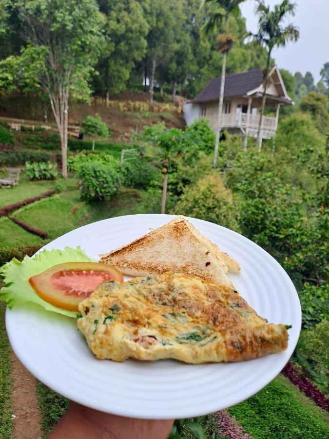 Garden Terrace Bali Bed & Breakfast Gobleg  Eksteriør bilde