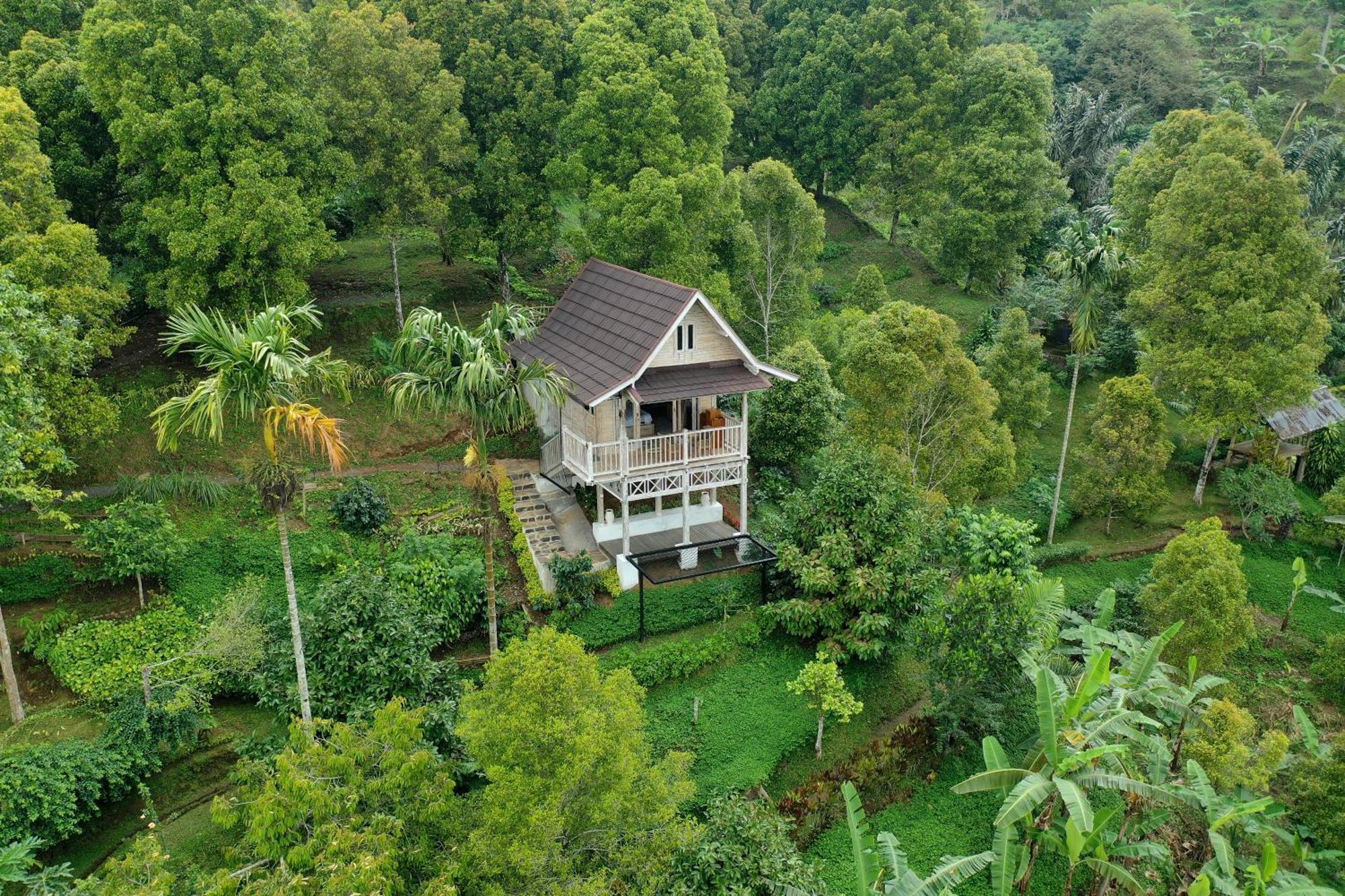 Garden Terrace Bali Bed & Breakfast Gobleg  Eksteriør bilde
