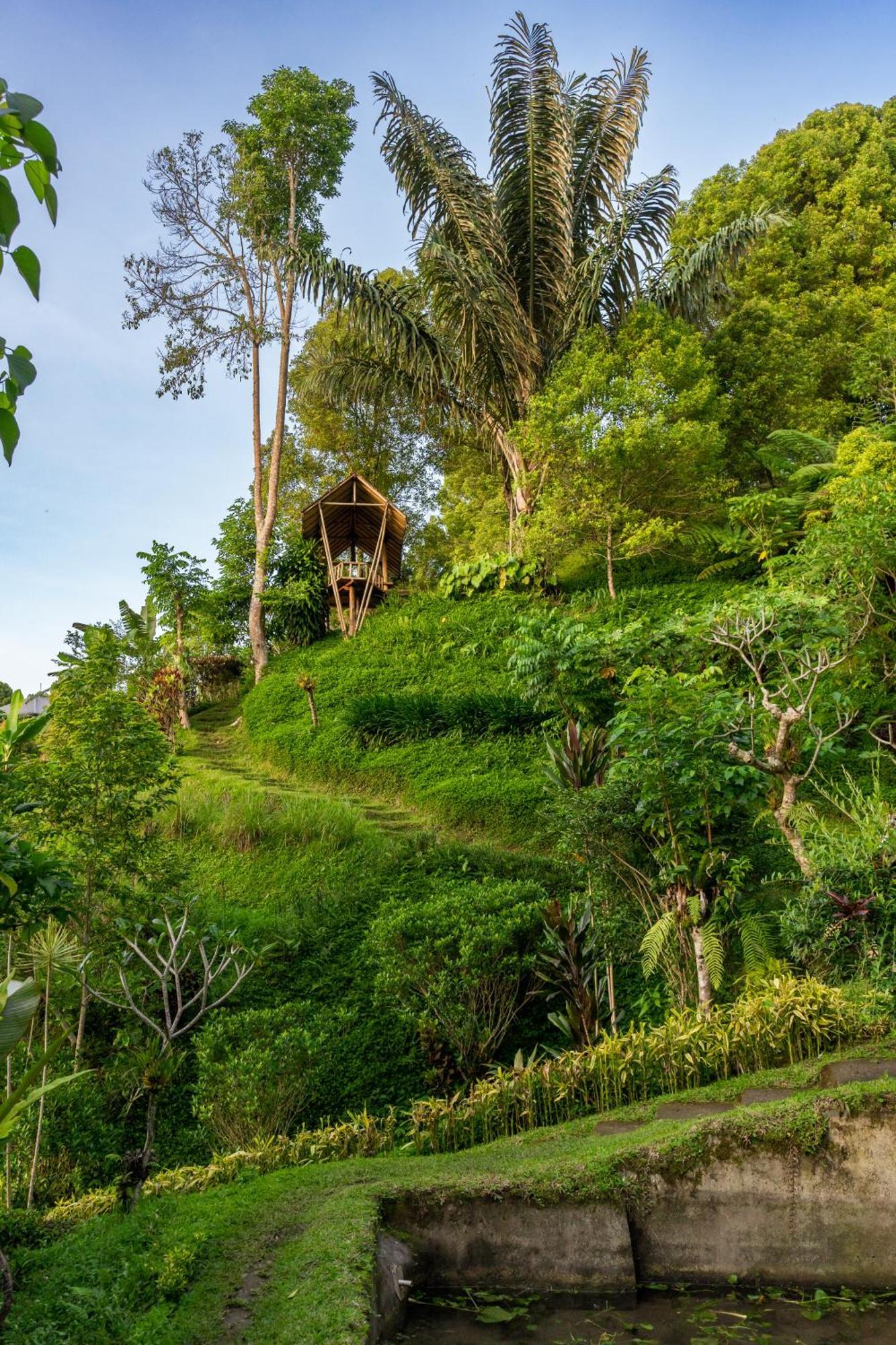 Garden Terrace Bali Bed & Breakfast Gobleg  Eksteriør bilde