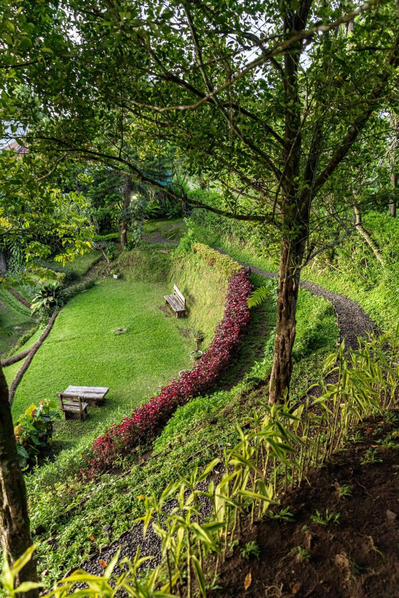 Garden Terrace Bali Bed & Breakfast Gobleg  Eksteriør bilde