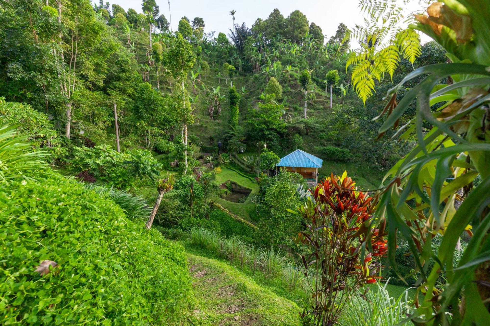 Garden Terrace Bali Bed & Breakfast Gobleg  Eksteriør bilde