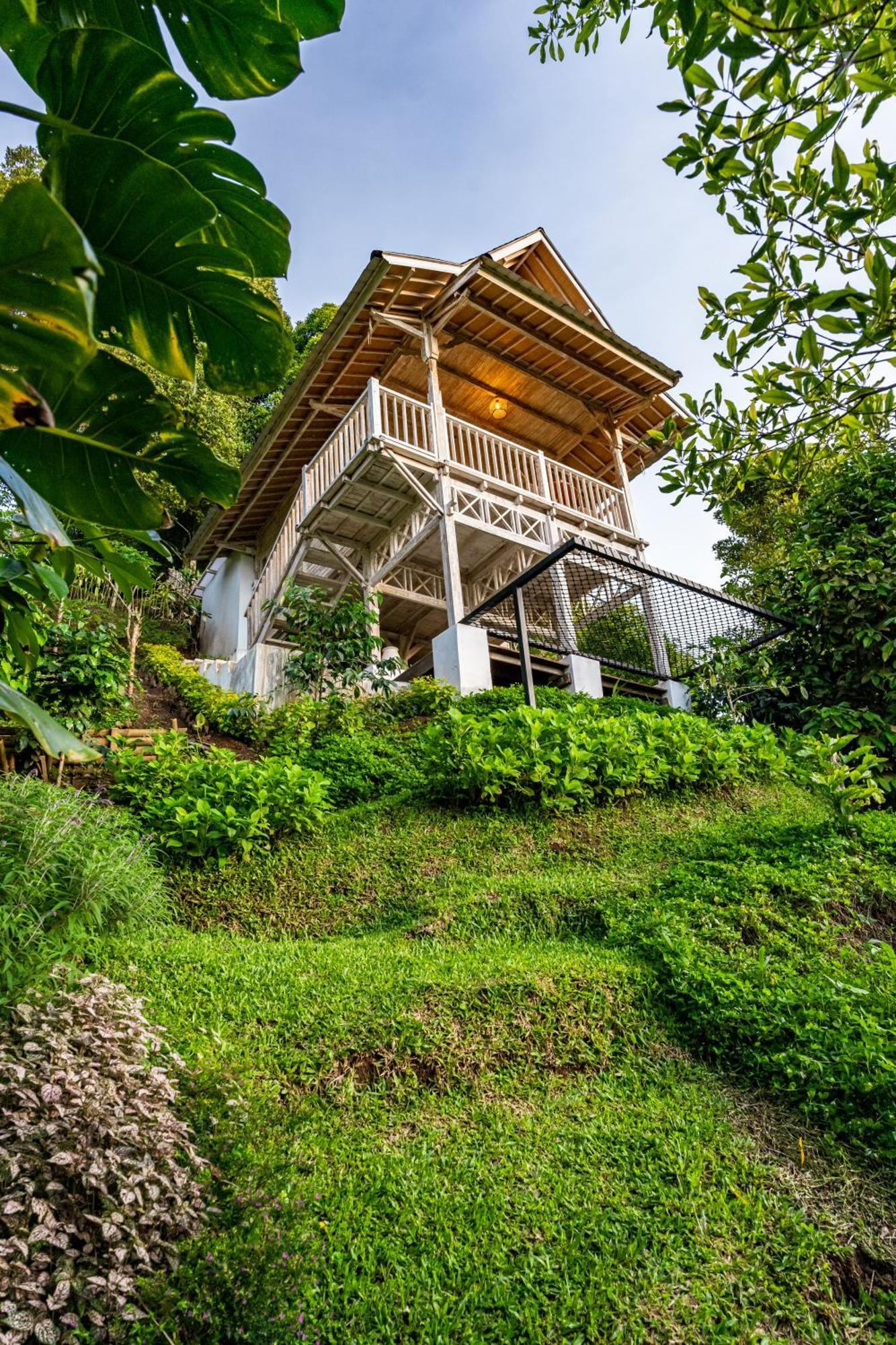 Garden Terrace Bali Bed & Breakfast Gobleg  Eksteriør bilde